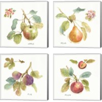 Framed 'Orchard Bloom 4 Piece Canvas Print Set' border=