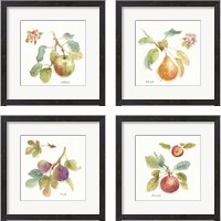 Framed Orchard Bloom 4 Piece Framed Art Print Set