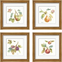 Framed 'Orchard Bloom 4 Piece Framed Art Print Set' border=