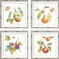 Framed 'Orchard Bloom 4 Piece Framed Art Print Set' border=