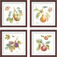 Framed Orchard Bloom 4 Piece Framed Art Print Set