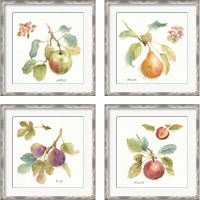 Framed 'Orchard Bloom 4 Piece Framed Art Print Set' border=