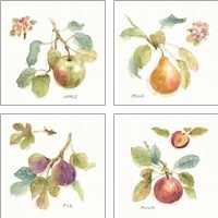 Framed Orchard Bloom 4 Piece Art Print Set