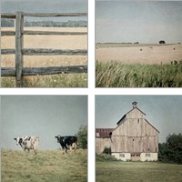 Framed 'Neutral Country 4 Piece Art Print Set' border=