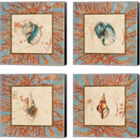 Framed 'Coral Medley Shell 4 Piece Canvas Print Set' border=