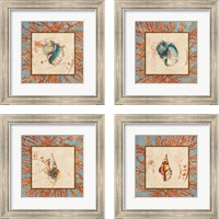 Framed 'Coral Medley Shell 4 Piece Framed Art Print Set' border=