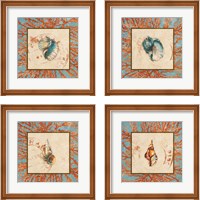 Framed 'Coral Medley Shell 4 Piece Framed Art Print Set' border=