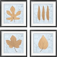 Framed 'Nature's Profile 4 Piece Framed Art Print Set' border=