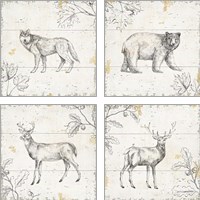 Framed 'Wild and Beautiful 4 Piece Art Print Set' border=