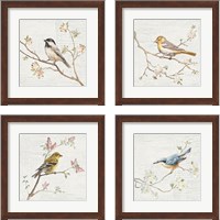 Framed Vintage Bird 4 Piece Framed Art Print Set