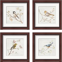 Framed Vintage Bird 4 Piece Framed Art Print Set