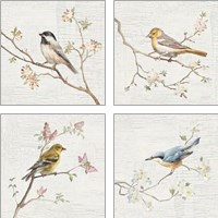 Framed 'Vintage Bird 4 Piece Art Print Set' border=