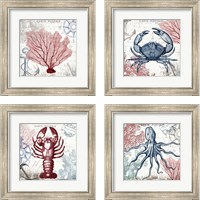 Framed Coastal Sea Life 4 Piece Framed Art Print Set