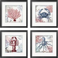 Framed Coastal Sea Life 4 Piece Framed Art Print Set