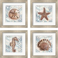 Framed Chevron Shell 4 Piece Framed Art Print Set