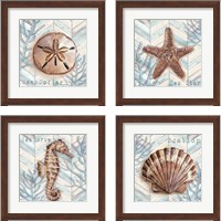 Framed Chevron Shell 4 Piece Framed Art Print Set