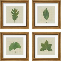 Framed 'Forest Leaves 4 Piece Framed Art Print Set' border=
