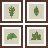 Framed Forest Leaves 4 Piece Framed Art Print Set