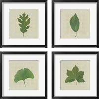 Framed Forest Leaves 4 Piece Framed Art Print Set