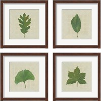 Framed 'Forest Leaves 4 Piece Framed Art Print Set' border=