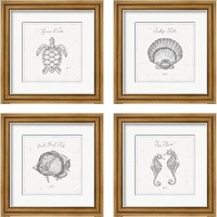 Framed Underwater Life 4 Piece Framed Art Print Set