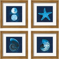 Framed Cyanotype Sea 4 Piece Framed Art Print Set