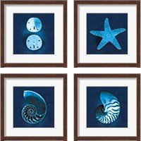 Framed 'Cyanotype Sea 4 Piece Framed Art Print Set' border=