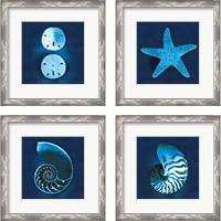 Framed Cyanotype Sea 4 Piece Framed Art Print Set