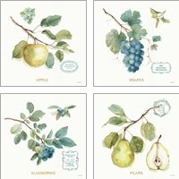 Framed 'My Greenhouse Fruit 4 Piece Art Print Set' border=