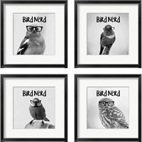 Framed Bird Nerd 4 Piece Framed Art Print Set