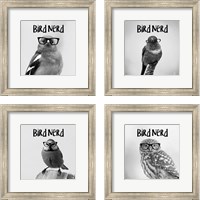 Framed 'Bird Nerd 4 Piece Framed Art Print Set' border=