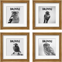 Framed Bird Nerd 4 Piece Framed Art Print Set