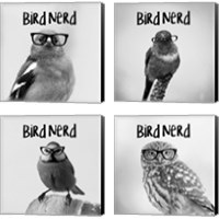 Framed Bird Nerd 4 Piece Canvas Print Set
