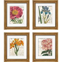 Framed 'Floral Botany 4 Piece Framed Art Print Set' border=