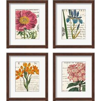 Framed 'Floral Botany 4 Piece Framed Art Print Set' border=