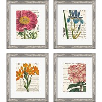 Framed Floral Botany 4 Piece Framed Art Print Set