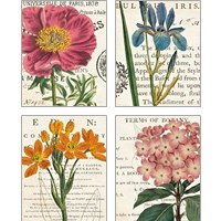 Framed 'Floral Botany 4 Piece Art Print Set' border=