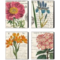 Framed 'Floral Botany 4 Piece Canvas Print Set' border=