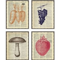 Framed 'Vintage Print 4 Piece Art Print Set' border=