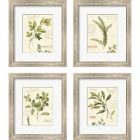 Framed Aromatique 4 Piece Framed Art Print Set