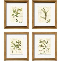 Framed Aromatique 4 Piece Framed Art Print Set