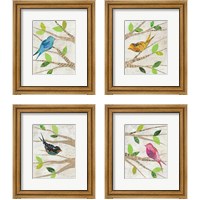 Framed 'Birds in Spring 4 Piece Framed Art Print Set' border=