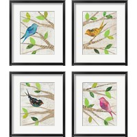 Framed Birds in Spring 4 Piece Framed Art Print Set