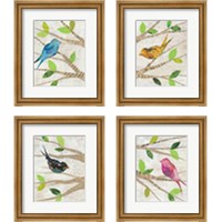 Framed Birds in Spring 4 Piece Framed Art Print Set