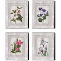Framed Floral 4 Piece Canvas Print Set