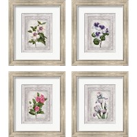 Framed Floral 4 Piece Framed Art Print Set