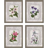 Framed 'Floral 4 Piece Framed Art Print Set' border=