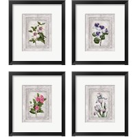 Framed 'Floral 4 Piece Framed Art Print Set' border=
