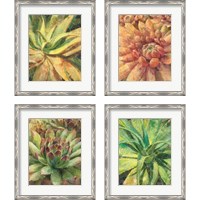 Framed 'Nature Delight 4 Piece Framed Art Print Set' border=