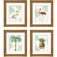 Framed Flamingo Tropicale 4 Piece Framed Art Print Set